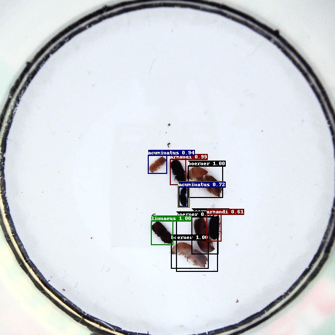 ../../_images/visualized_fasterrcnn.jpg